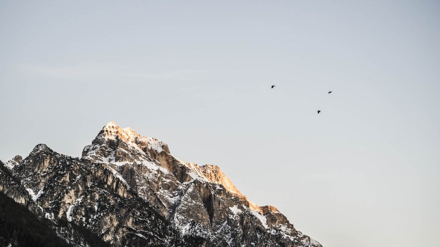 Excelsior: membro dei Belvita Leading Wellnesshotels Südtirol Cima della montagna innevata al tramonto con tre uccelli in volo nel cielo