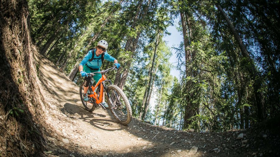 Regione bike Ciclista in mountain bike discesa su sentiero nel bosco