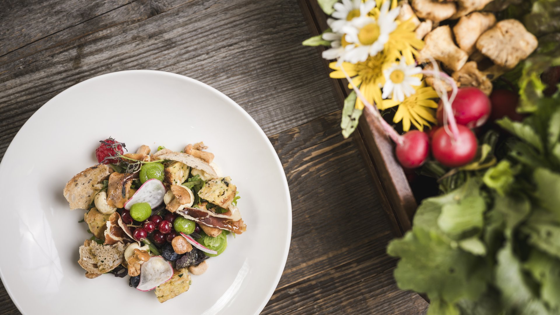 Benvenuti nel vostro hotel al Plan de Corones! Insalata leggera con noci, bacche e erbe su piatto bianco