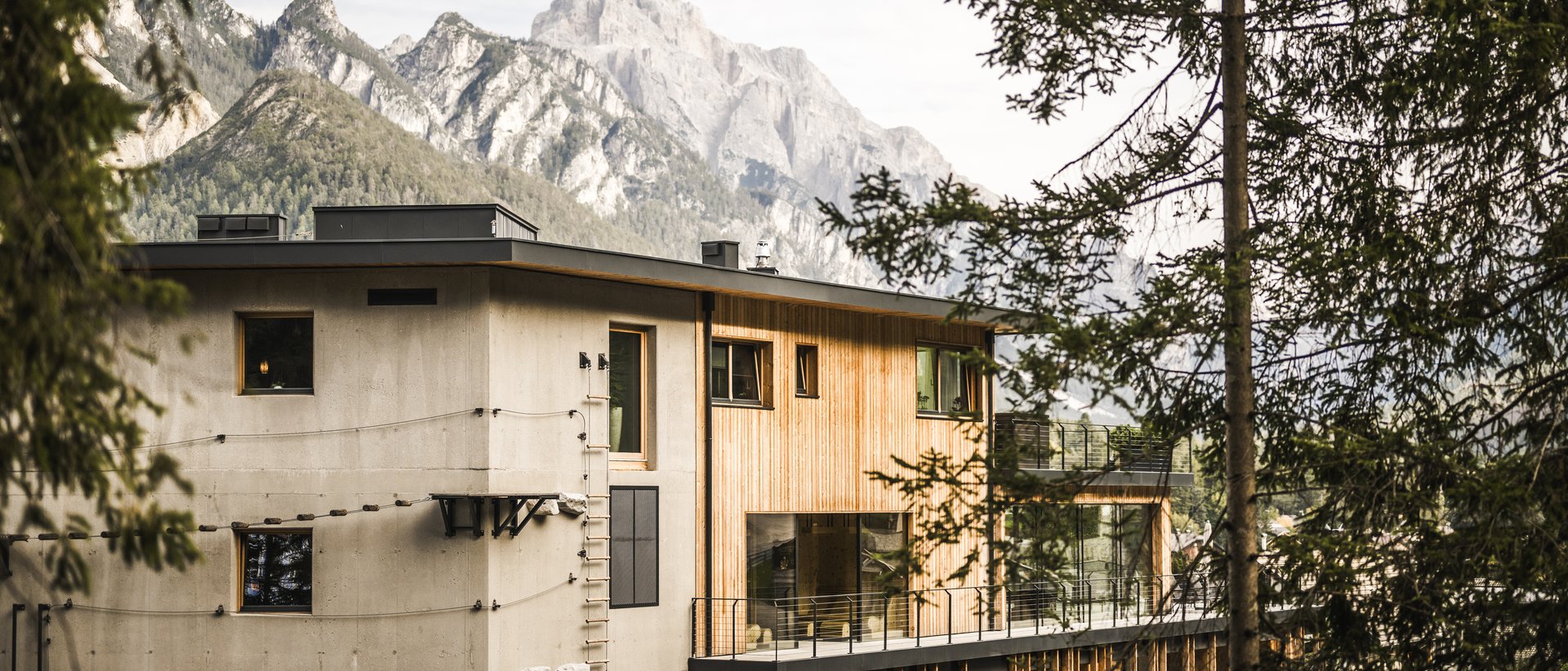 One wall, two experiences Modern house with climbing wall and mountain view framed by tree branches