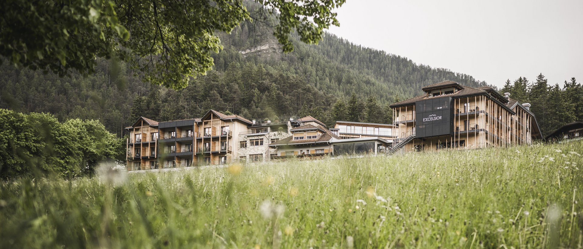 Facciata esterna Hotel Excelsior circondato da prato e montagne sullo sfondo