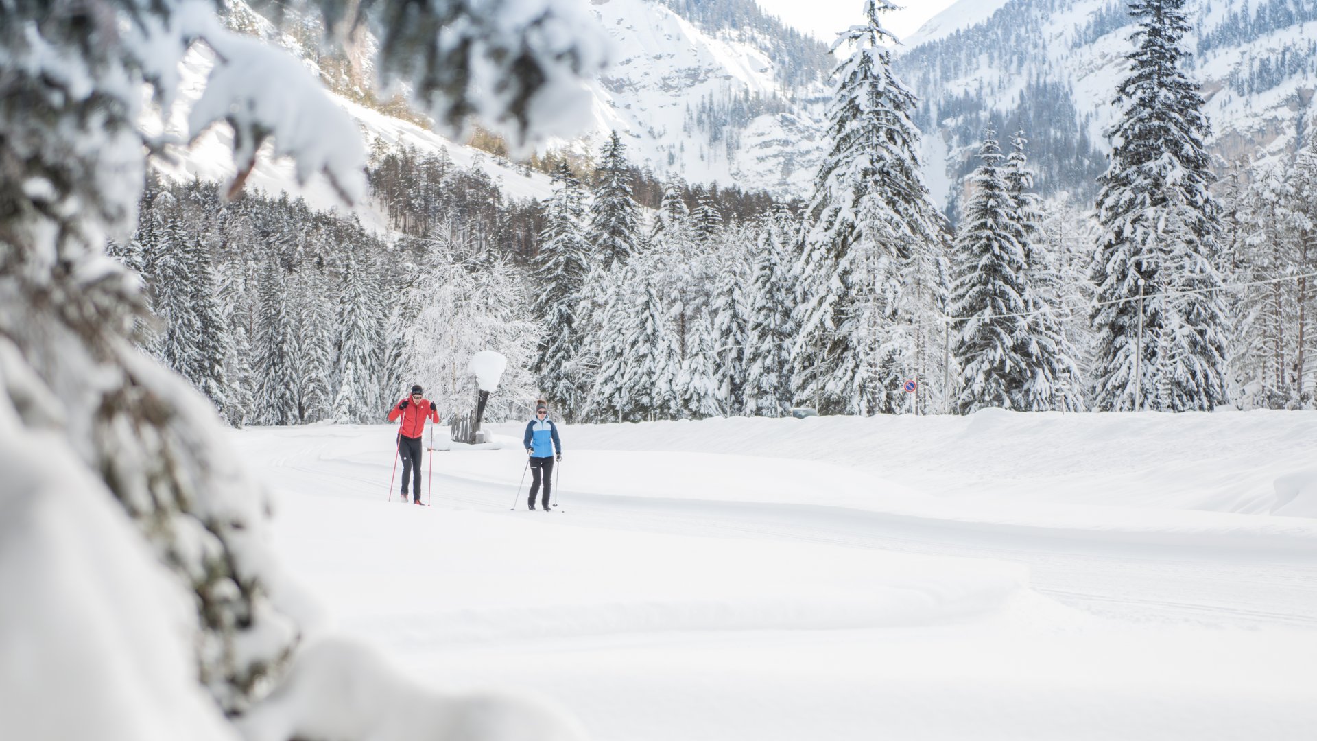 Due persone fanno sci di fondo in una foresta innevata