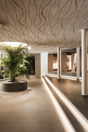 Il vostro hotel con spa tra le Dolomiti dell’Alto Adige Lounge moderna con piante, sedie in rattan e soffitto texturizzato