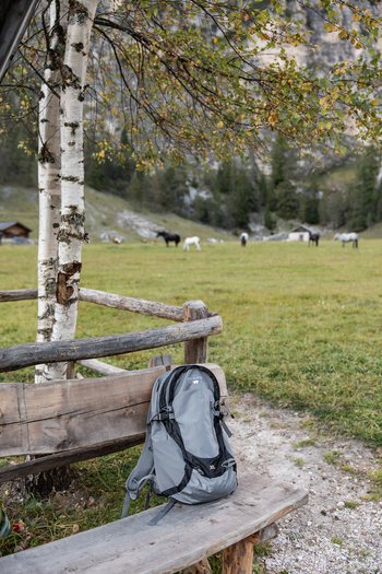 Excelsior: Wanderhotel in den Dolomiten Rucksack auf Bank in Alpenwiese mit Pferden und Birken im Hintergrund