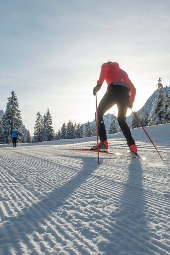 Il nostro hotel sulle piste a San Vigilio di Marebbe Sciatori di fondo su pista preparata in bosco innevato con luce solare