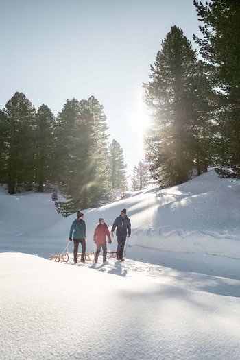 Il vostro sport hotel a San Vigilio di Marebbe Tre persone con slitte camminano nella foresta innevata sotto il sole