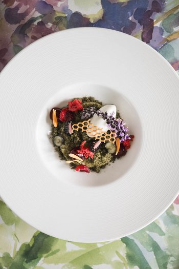 The gourmet hotel in South Tyrol Finely garnished gourmet dish on white plate with floral background