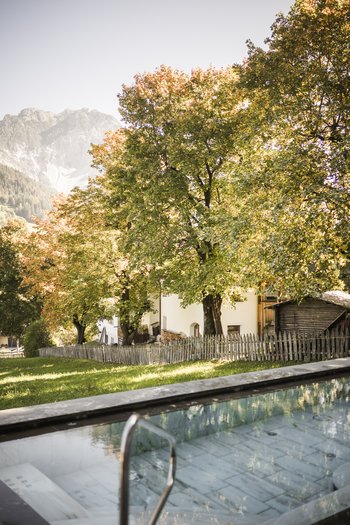 Hotel con infinity pool in Alto Adige: l’Excelsior Piscina con vista su alberi autunnali e montagne sullo sfondo