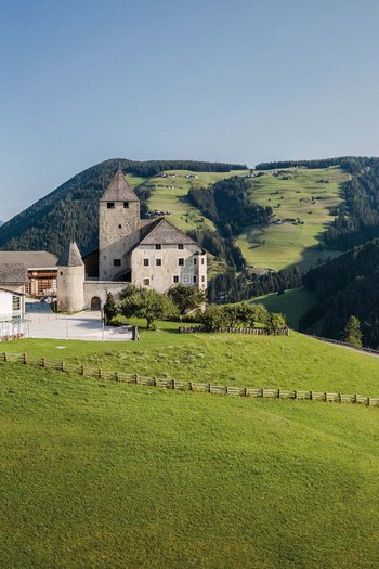 Around the hotel on the slopes in South Tyrol Castle on green hill with forested mountains and clear blue sky