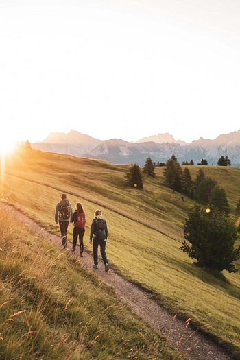 Hotel in South Tyrol with guided hikes Three hikers on mountain trail at sunset with Alps in the background