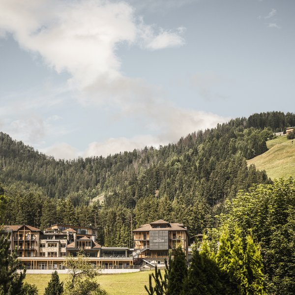 Dolomiten-Hotel für Bergmenschen Hotel Excelsior umgeben von Wäldern und Hügeln bei sonnigem Wetter