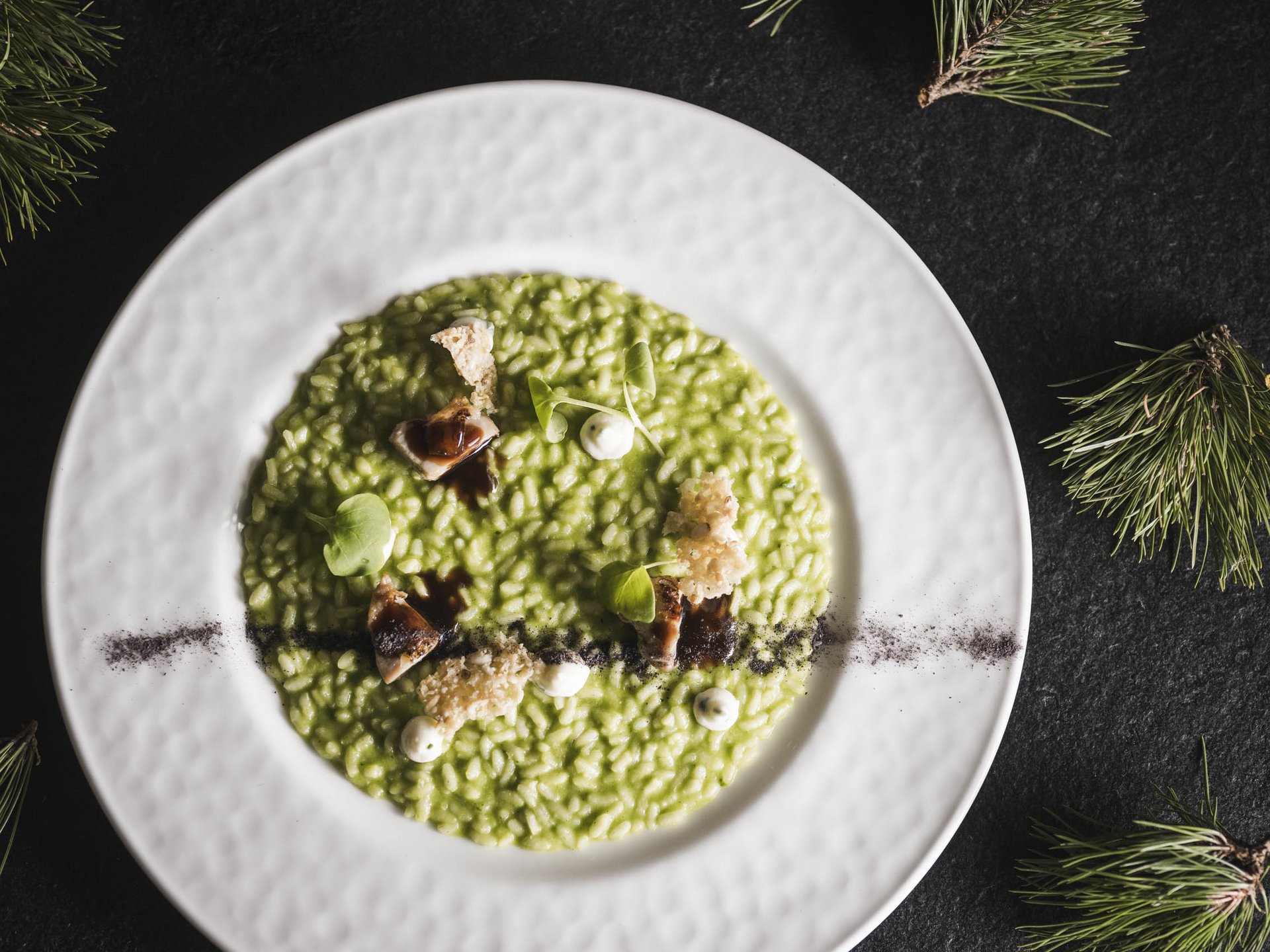 Hotel per celiaci Risotto verde con erbe e crostini su piatto bianco con rami di pino
