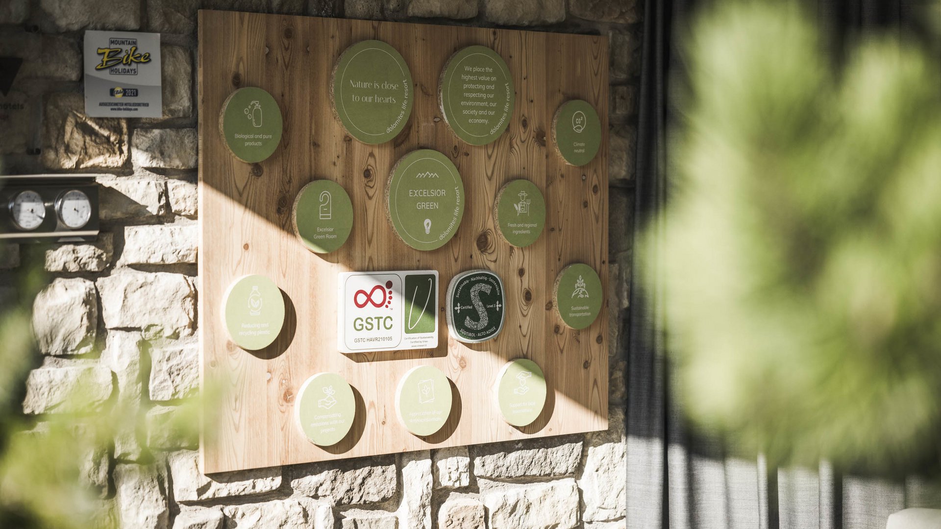 Sustainability certificates on wooden board on stone wall with green plants in front