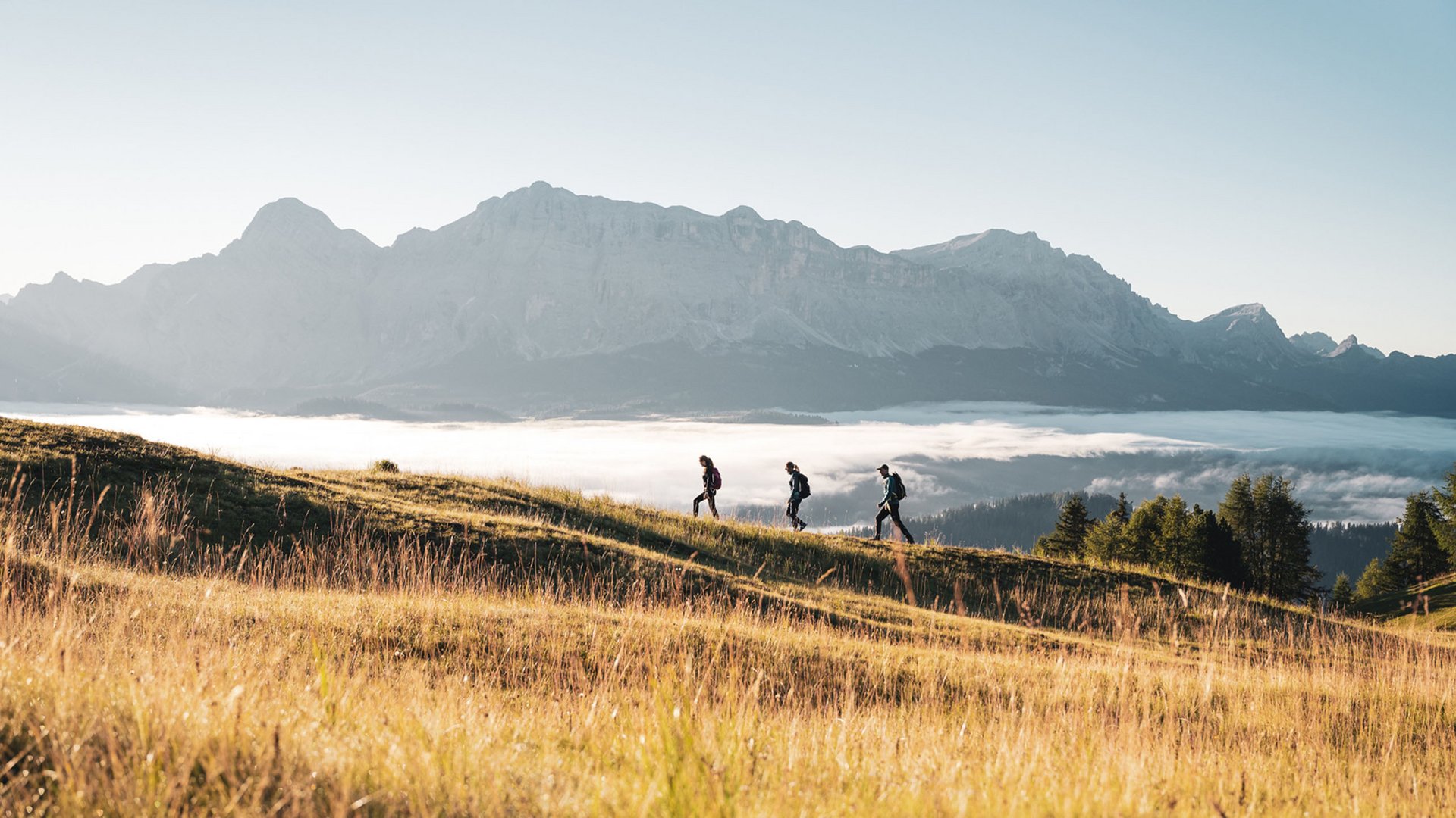 Drei Wanderer gehen auf einem sonnenbeschienenen Grasberg mit Bergen im Hintergrund