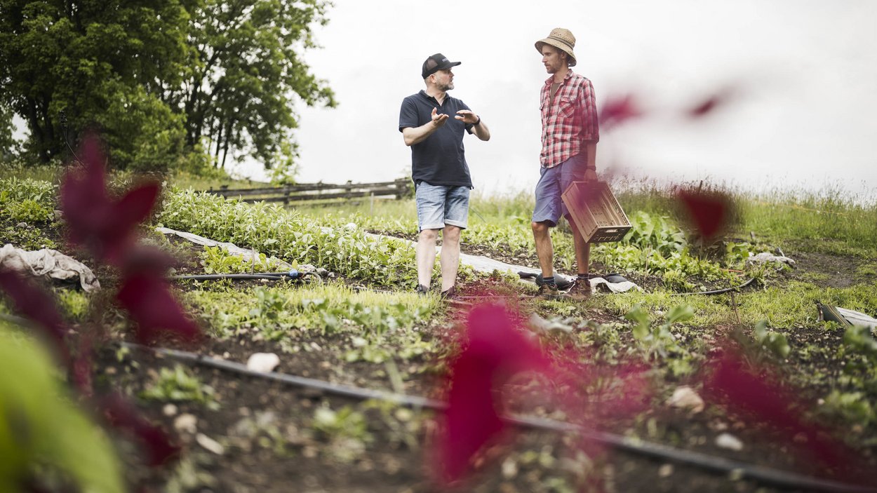 Sustainable hotels in South Tyrol? The Excelsior! Two men talking in a vegetable garden on a farm
