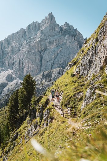Excelsior: Wanderhotel in den Dolomiten Wanderer auf Pfad mit Bergpanorama und grünem Hang im Sonnenschein