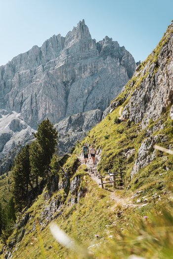 San Vigilio di Marebbe: escursioni per famiglie Escursionisti su sentiero con vista montagna e pendio verde al sole